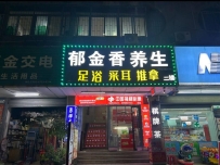 【深圳宝安】西乡郁金香